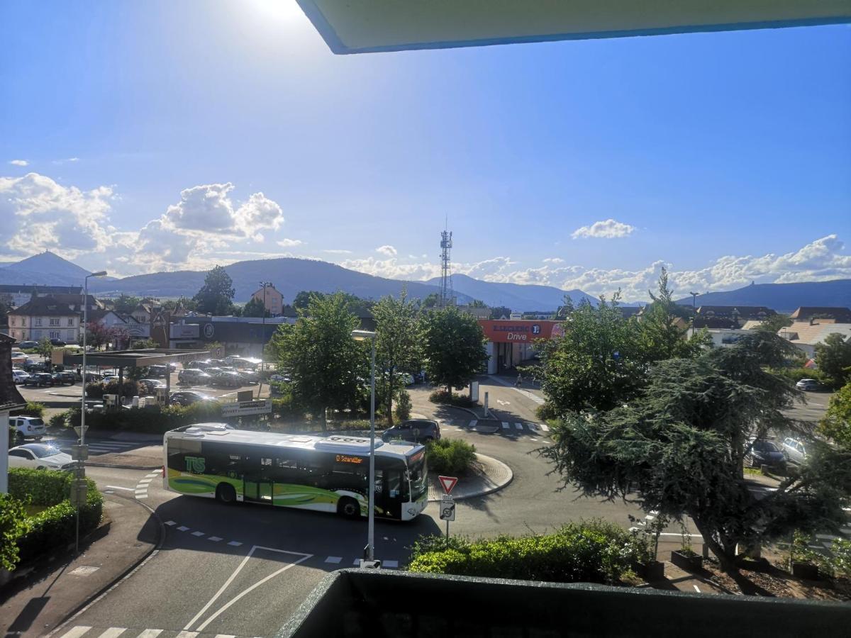 Bel Appartement, Grand Balcon Et Parking Prive Sélestat Zewnętrze zdjęcie
