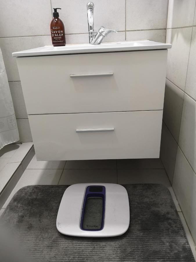 Bel Appartement, Grand Balcon Et Parking Prive Sélestat Zewnętrze zdjęcie